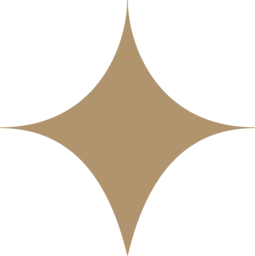 attic-631.pages.dev favicon